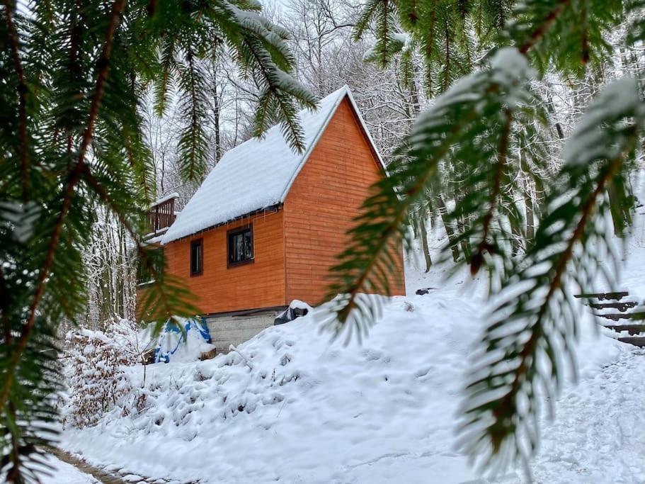 Rožnov pod Radhoštěm Chata Pod Pindulouヴィラ エクステリア 写真